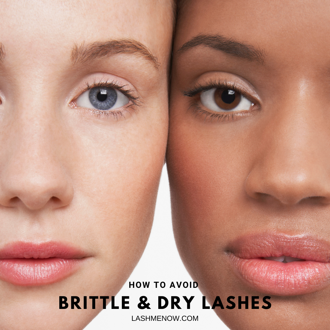 How to avoid brittle and dry eyelashes? Lash Me Now Beauty